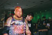 Image 3 of GCW ClusterFuck Gear