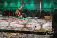 Image 2 of GCW ClusterFuck Gear