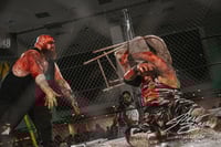 Image 1 of GCW ClusterFuck Gear