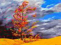 Image 1 of - Autumn Glow - 