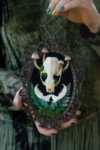 Image 2 of Mink Skull Vintage Frame