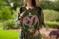 Image 1 of Bug Lovers Vintage Frame