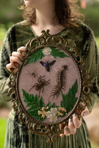 Image 2 of Bug Lovers Vintage Frame