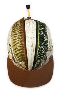 Image 3 of Fish face off 2 