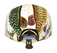 Image 4 of Fish face off 2 