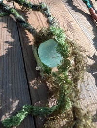 Image 3 of Lichen & Moss 