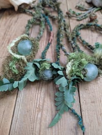 Image 2 of Lichen & Moss 