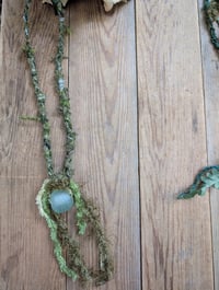 Image 5 of Lichen & Moss 