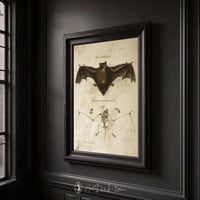 Image 2 of Vintage Bat Anatomy Print