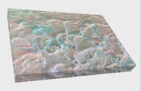 Image 5 of Coral Bloom 