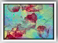 Image 5 of Coral Flora