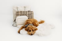 Image 1 of Ultimate Set - Sand - Plaid