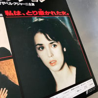 Image 10 of Possession (LaserDisc)