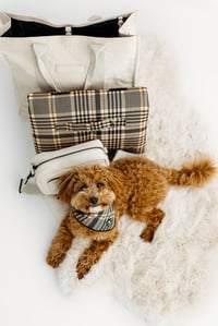 Image 1 of Ultimate Set - Sand - Plaid