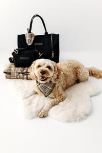 Image 1 of Ultimate Set - Black/ Brushed Gold - Plaid