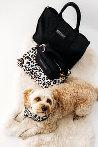 Image 1 of Ultimate Set - Black/ Brushed Gold - Leopard