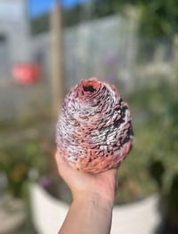Image 3 of Raku Sundays - August