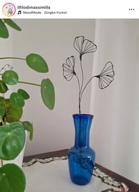 Ramo gingko biloba 