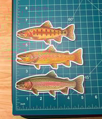 Image 2 of 3 pack trout stickers