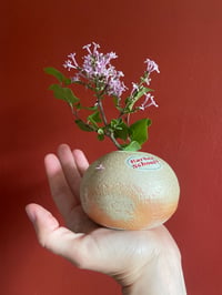 Image 1 of Barber School Bud Vase