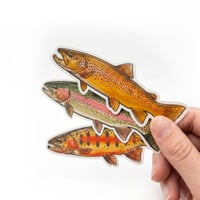 Image 1 of 3 pack trout stickers