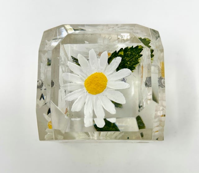 Jumbo Mini Painted Daisy Box-back in stock - Image 2 of 2