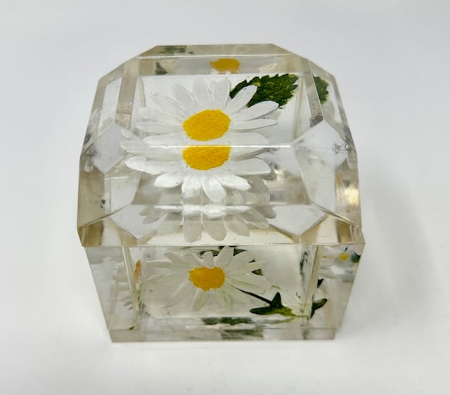 Jumbo Mini Painted Daisy Box-back in stock - Image 1 of 2