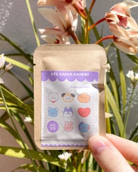 Image 1 of BTS charms 
