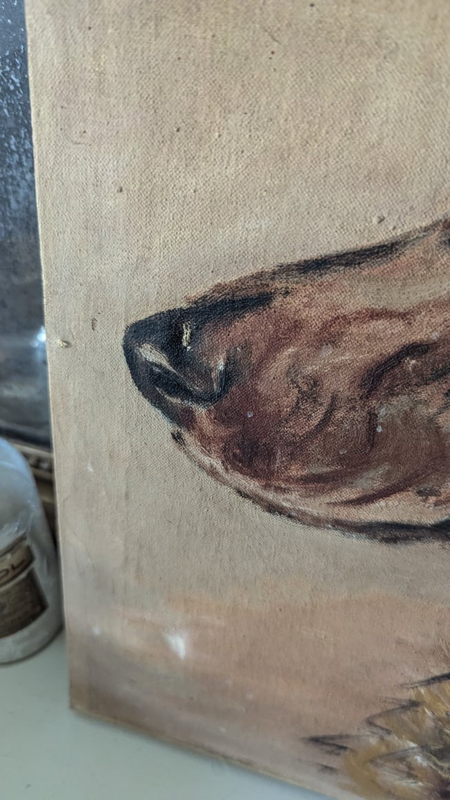 Huile sur toile 🐶