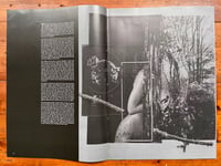 Image 2 of Chapter 4. The House