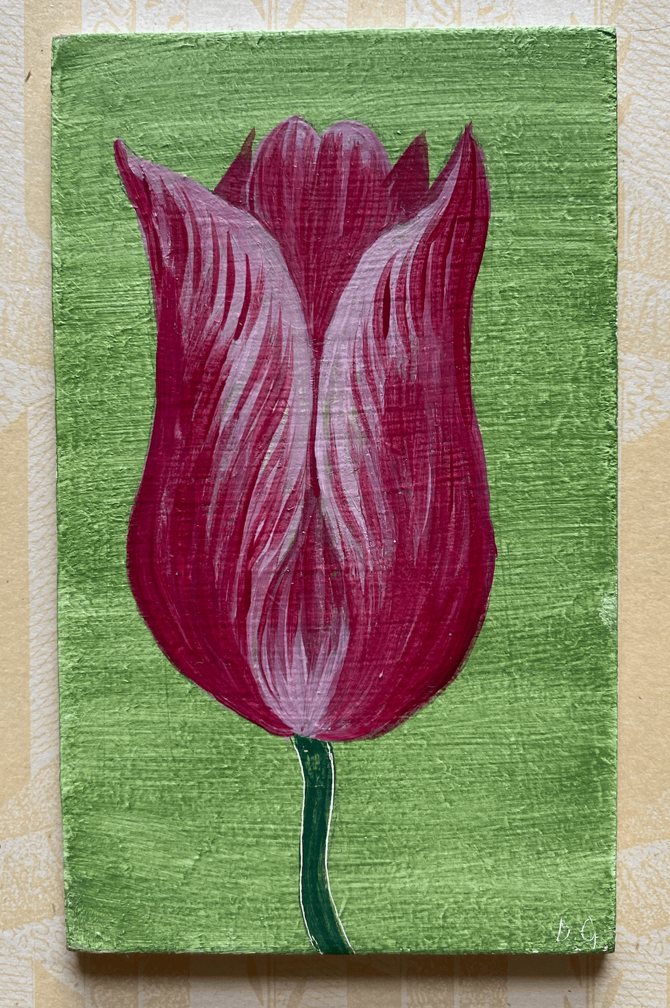 Image of Pink Tulip