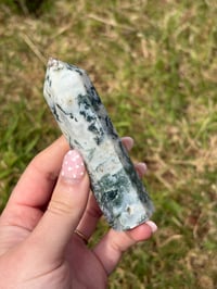 Image 1 of Moss Agate Point #4