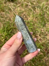 Image 1 of Moss Agate Point #5