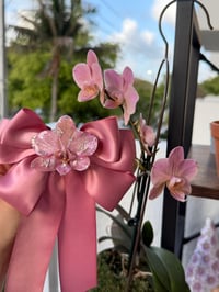 Image 2 of Moño Barbie Chic 