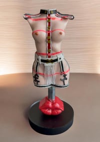 Image 1 of CRAZY GAL 1 (PRIVATE COLLECTION)
