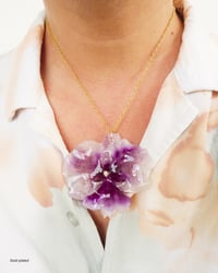 Image 2 of "Phalaenopsis" grandes | Variedad