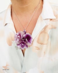 Image 3 of "Phalaenopsis" grandes | Variedad