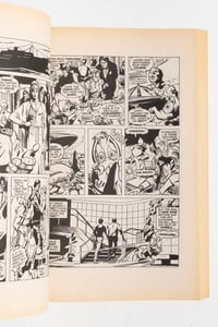 Image 5 of Essential Howard The Duck Volume 1