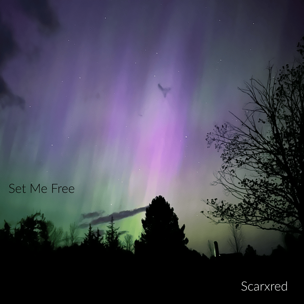 Image of Set Me Free