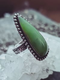 Image 2 of Wing ring (9)