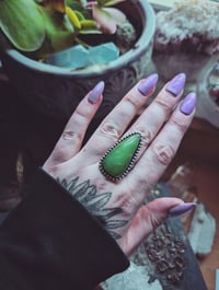 Image 3 of Wing ring (9)
