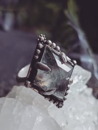 Image 3 of Moss Magic ring (8)