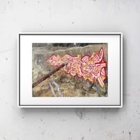 Image 1 of AppleOrange - 5 x 7" print