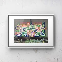 Image 1 of Fish - 5 x 7" print