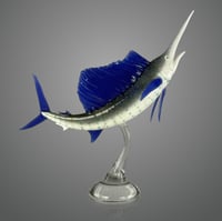 Image 1 of Sailfish