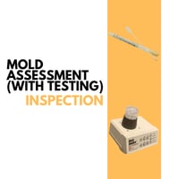 Mold Assessment ( With Testing )