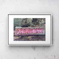 Image 1 of Raspberry - 5 x 7" print