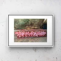 Image 1 of Span - 5 x 7" print