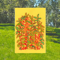 Image 10 of original drawings (SUPER DISCOUNTED)