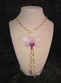 FLORA